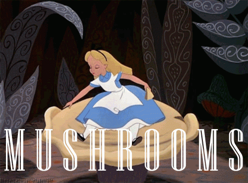 Alice au pays des merveilles: les champignons halucinogènes
