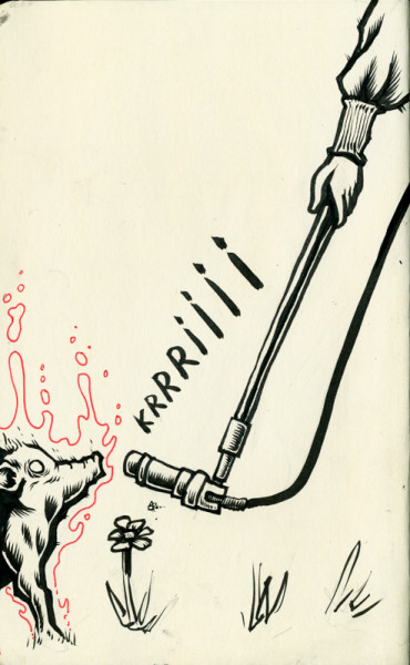 Radioactive pig