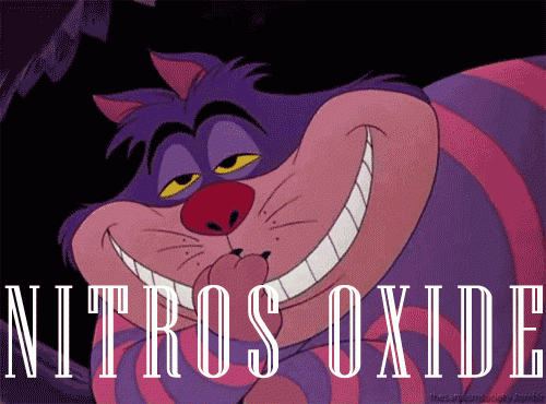 Alice au pays des merveilles: chat et nitros oxyde