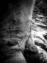Photographie macro de pieds nus lors de barfooting dans la boue