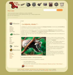 Ancien design de Biolodidje