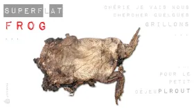 SuperF(l)at frog