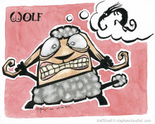 Wolf sheep