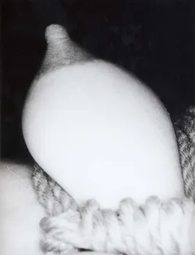 Nobuyoshi Araki