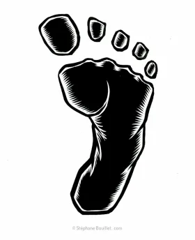 J255 /// BEER FOOT ? BAREFOOT !