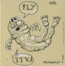 Fly - Fall