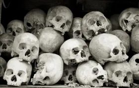 Crane mort khmer cambodge