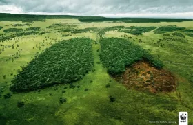 Poumon et forêt du WWF