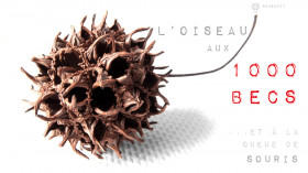 L'oiseau aux 1000 becs