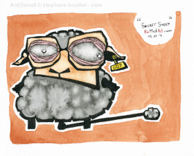Secret sheep