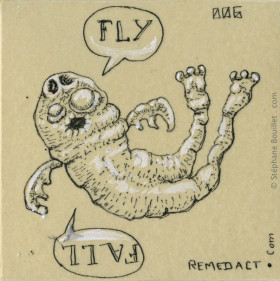 Fly - Fall