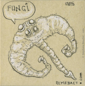 Fungi