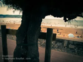 Arbre interdit de baignade