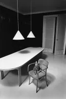 Chat solitaire dans un décor inhospitalier, Jean Loup Sieff