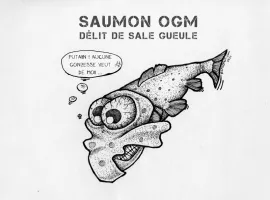 Illustration saumon ogm
